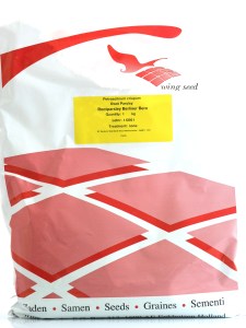 Petržlen korenový Berliner Bero