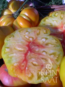 cv051_german_gold_web_600