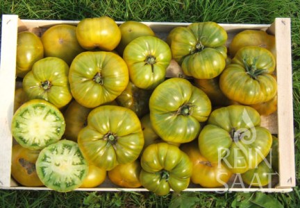 cv139_charlie_green1_web_600