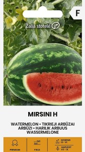 Mirsini