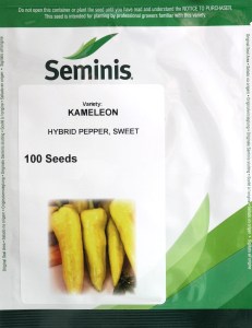 Paprika sladká Kameleon (Seminis)