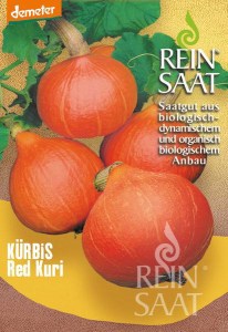 kue010_kuerbis_red_kuri_600