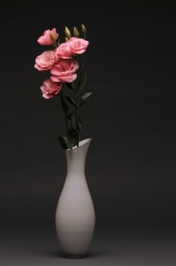 lisianthus_flare_deep_rose_37