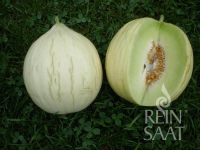 me92_hogolyo4_web_600