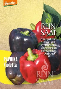 pa019_paprika_violetta_600