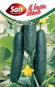 salatove uhorky, semena uhoriek, sagro uhorky, 