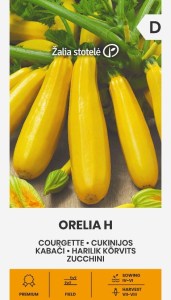 Balenie semien kríčkovej žltej cukety odrody Orelia F1 (Cucurbita pepo) pre bohatú letnú úrodu