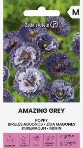 Balenie semien vzácneho jednoročnej okrasného maku vlčieho odrody Amazing Grey s unikátnymi sivo-modrými kvetmi pre jarný priamy výsev