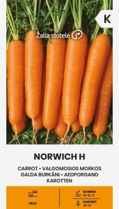Balenie semien skorej sladkej oranžovej mrkvy typu Nantes odrody Norwich F1 pre jarný aj jesenný výsev na záhon