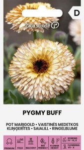 Balenie semien úrodného liečivého nechtíka lekárskeho odrody Pygmy Buff s plnými oranžovými kvetmi pre záhony a ekologické pestovanie zeleniny