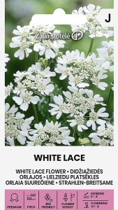 Balenie semien elegantnej orlaye veľkokvetej odrody White Lace s bohatými bielymi čipkovanými súkvetiami pre jarný aj jesenný výsev