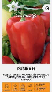 Balenie semien stredne skorej sladkej červenej papriky kockovitého tvaru odrody Rubika F1 (Capsicum annuum) pre pestovanie na poli i v skleníku