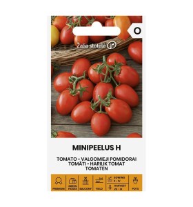 Balenie semien trpasličej balkónovej paradajky Minipeelus H na pestovanie v kvetináči