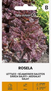 Balenie semien tmavočerveného kučeravého listového šalátu odrody Rosela (Lactuca sativa) na výsev