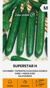  Balenie semien skleníkovej šalátovej uhorky hadovky Superstar H pre skorý zber