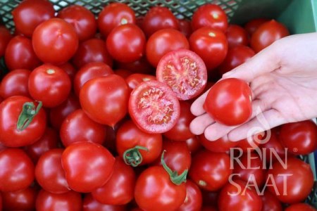 to028_ruthje_web_600