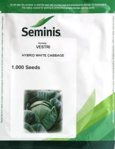 Kapustia biela, na spracovanie Vestri (Seminis)