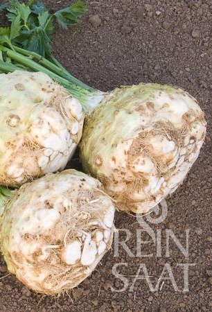 Zeler buľvový Monarch BIO 0,2 g