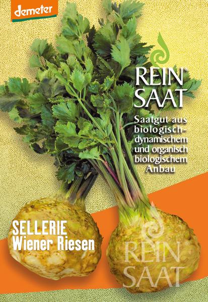 Zeler buľvový Wiener Riesen BIO cca na 200 rastlín