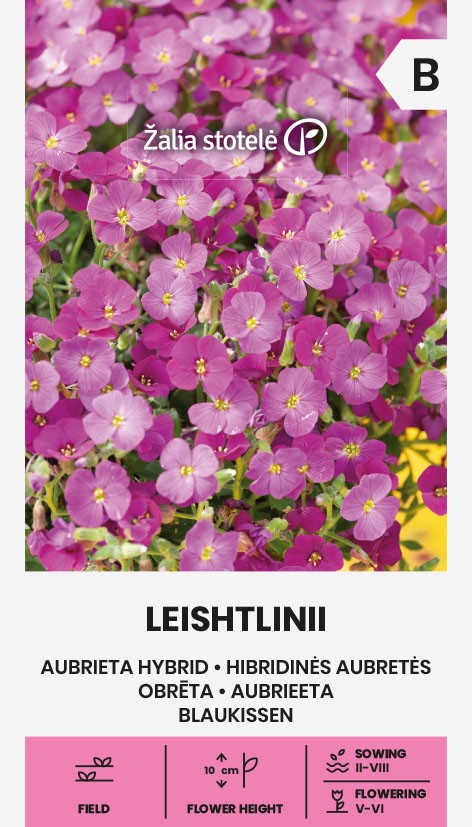 Balenie semien nízkej vankúšovitej trvalky aubriety hybridnej odrody Leichtlinii s bohatými ružovými kvetmi pre výsadbu do skalky