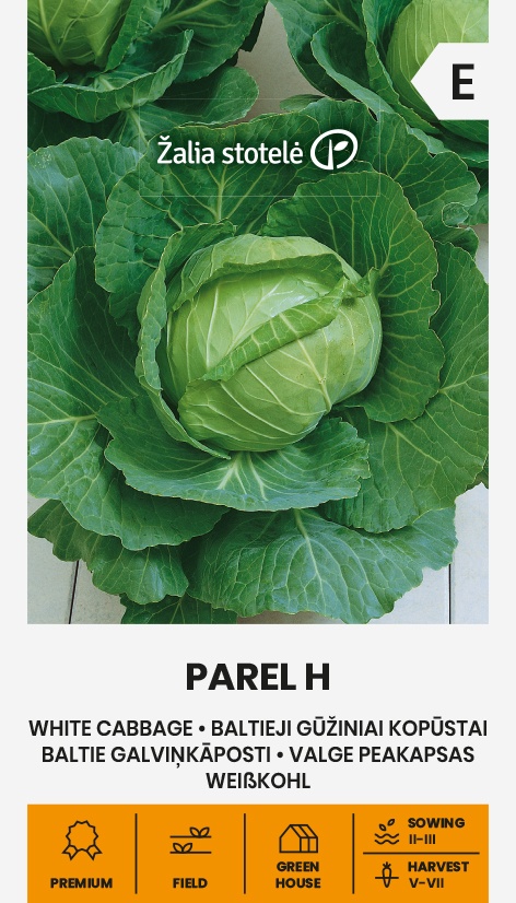Balenie semien extra skorej bielej hlávkovej kapusty odrody Parel F1 (Brassica oleracea) pre jarné rýchlenie