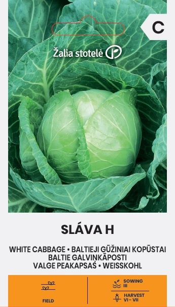 Balenie semien skorej bielej hlávkovej kapusty odrody Sláva F1 (Brassica oleracea) pre jarnú výsadbu