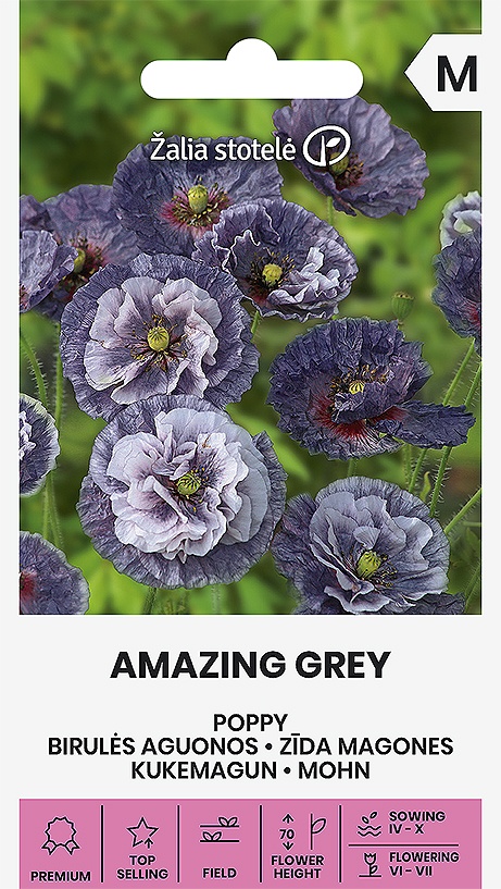 Balenie semien vzácneho jednoročnej okrasného maku vlčieho odrody Amazing Grey s unikátnymi sivo-modrými kvetmi pre jarný priamy výsev