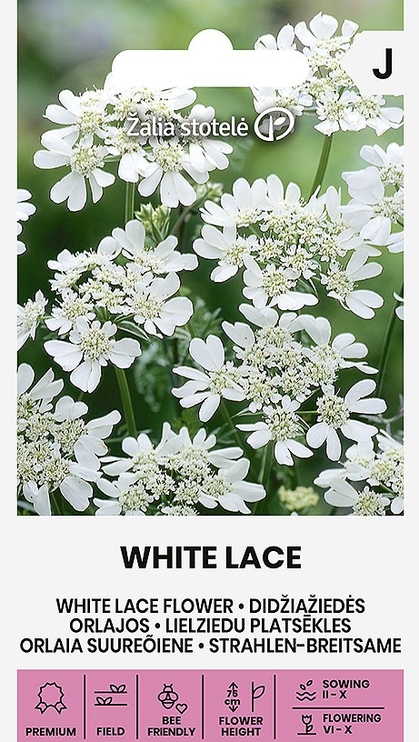 Balenie semien elegantnej orlaye veľkokvetej odrody White Lace s bohatými bielymi čipkovanými súkvetiami pre jarný aj jesenný výsev
