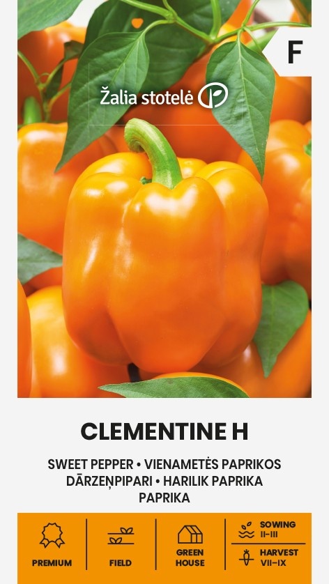 Balenie semien veľmi skorej sladkej oranžovej papriky odrody Clementine F1 (Capsicum annuum) pre pestovanie v skleníku aj na poli