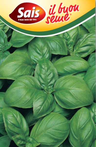 Bazalka Superbo cca 7 g