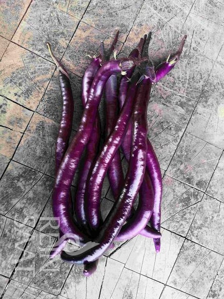 baklažán, ázijský baklažán, bio baklažán, semená baklažánu