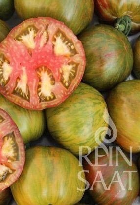 Rajčiak indeterminantný Cassio BIO cca 25 semien