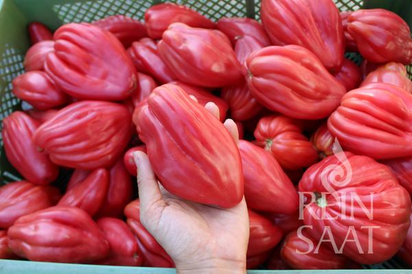 Rajčiak indeterminantný Fiammante BIO 20 semien